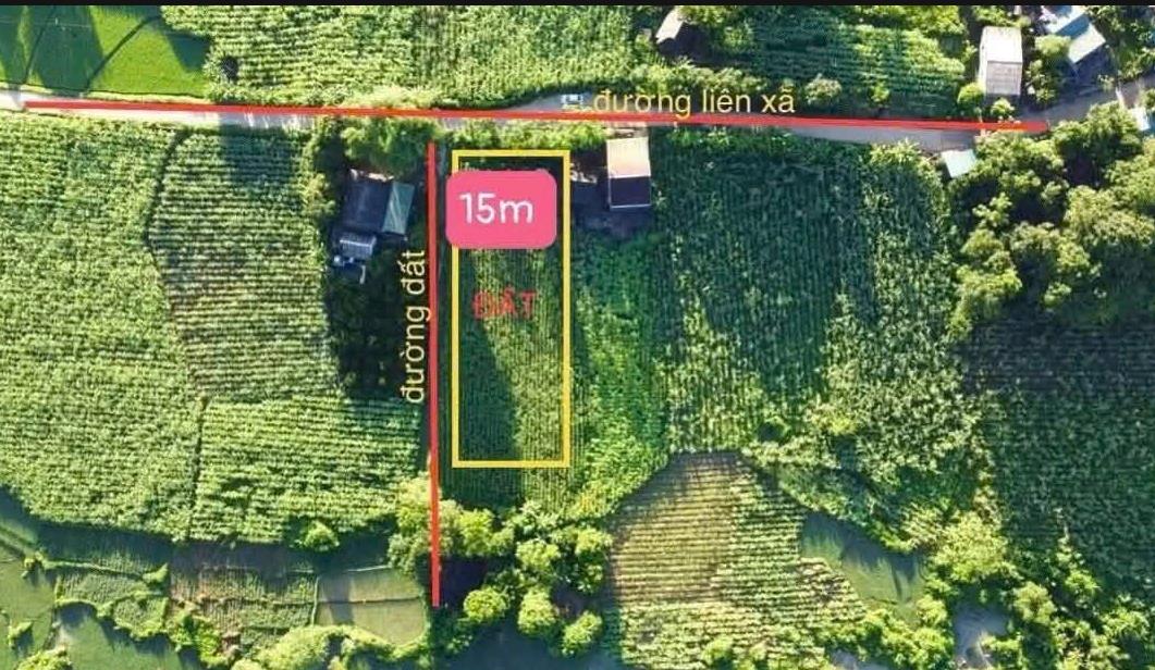 Hình ảnh Bán Lô Đất 643.5m Tại Tân Lạc Bám Đường Bê Tông Ô Tô Vào Tận Đất Dân Cư Đông Đúc Thân Thiện Gần Chợ Trường Học Gần Nhiều Khu Du Lịch   Giá Đầu Tư