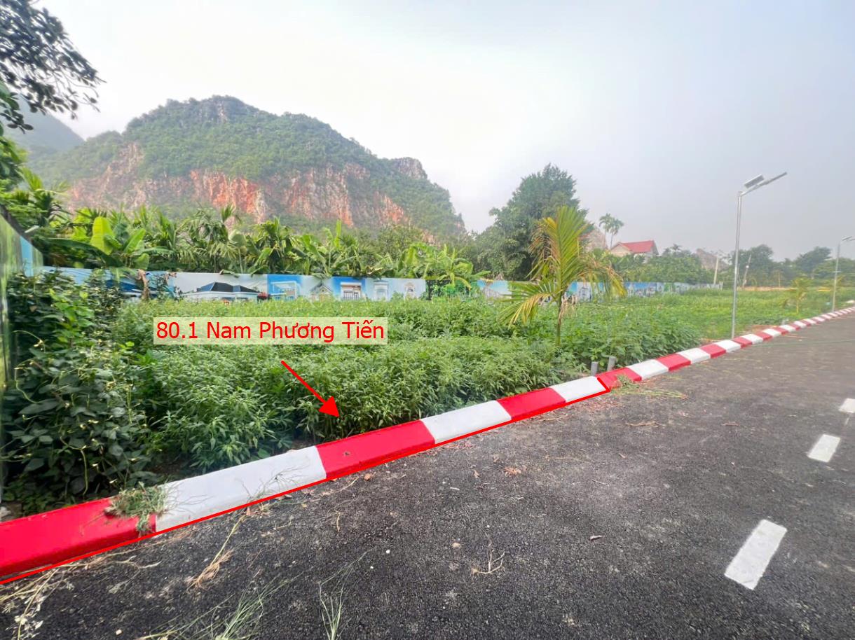 Hình ảnh Bất Động Sản Xuân Mai Xuân Mai Bán Đất Phân Lô Nam Phương Tiến Thuộc Làn 2 Đường QL21A Ngay Sát Chợ Cá