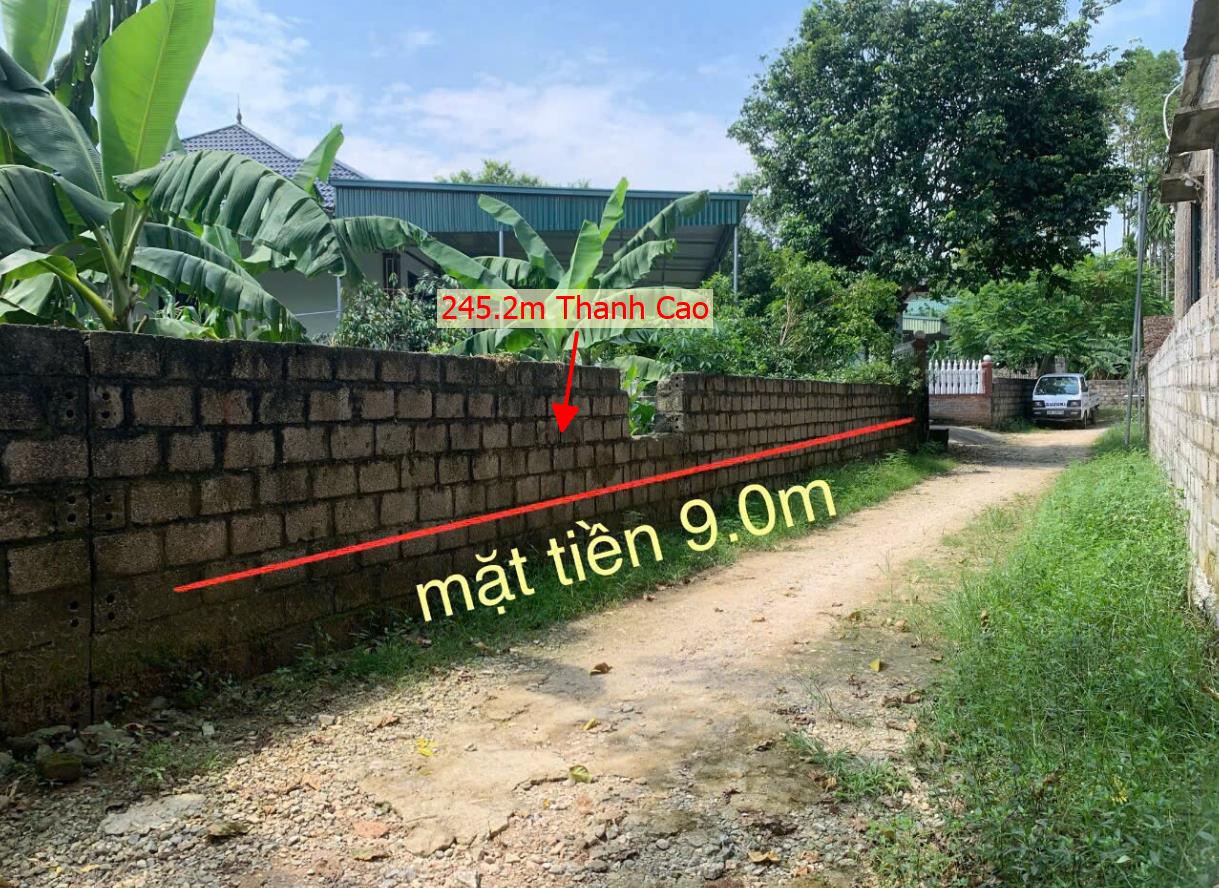 Hình ảnh Bán Lô Đất 245.2m Tại Thanh Cao Lương Sơn Bám Đường Bê Tông Ô Tô Vào Tận Đất Phù Hợp Phân Lô Giá Đầu Tư