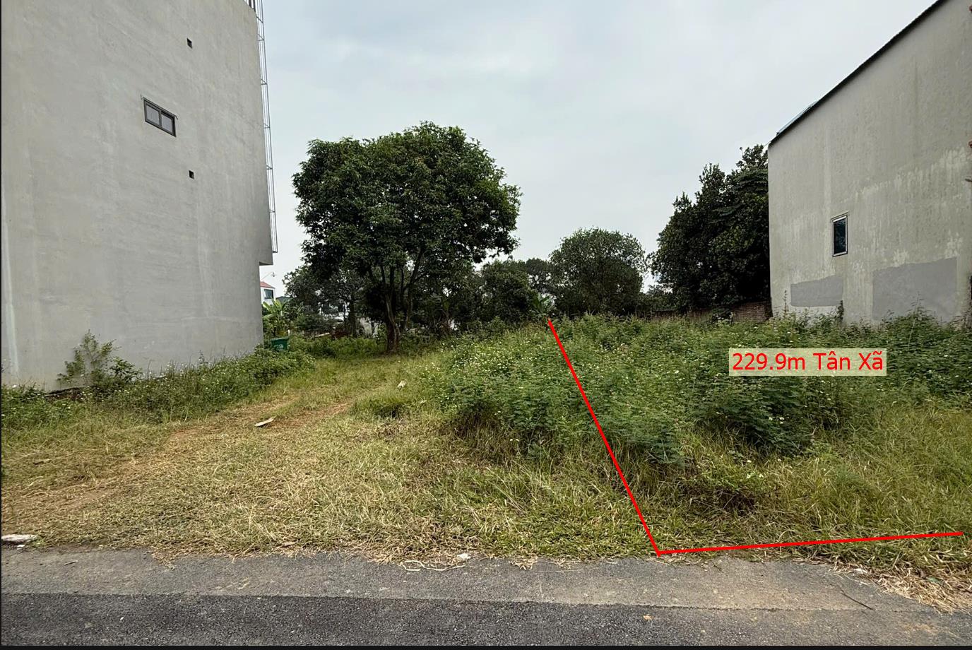 Hình ảnh Bán Lô Đất 229.9m Tại Tân Xã Thạch Thất Bám Đường Bê Tông Ô Tô Vào Tận Đất Dân Cư Đông Thân Thiện Sổ Đỏ Pháp Lý Rõ Ràng Giá Đầu Tư