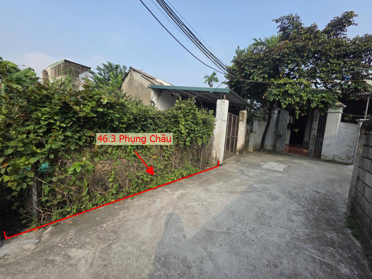 Hình ảnh Bán Thửa Đất 46.3m Tại Phụng Châu Gần Trục Chính Kinh Doanh Liên Huyện Giá Chỉ Hơn 2 Tỷ