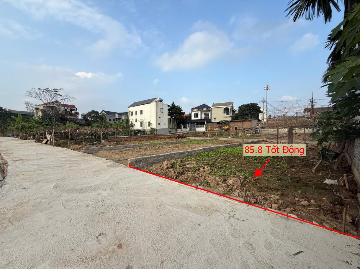 Hình ảnh Bán Đất Phân Lô Tốt Động Sát Trục Kinh Doanh Cách Đường Nguyễn Văn Trỗi Chỉ Vài Trăm Mét Gần Trường Học Các Cấp