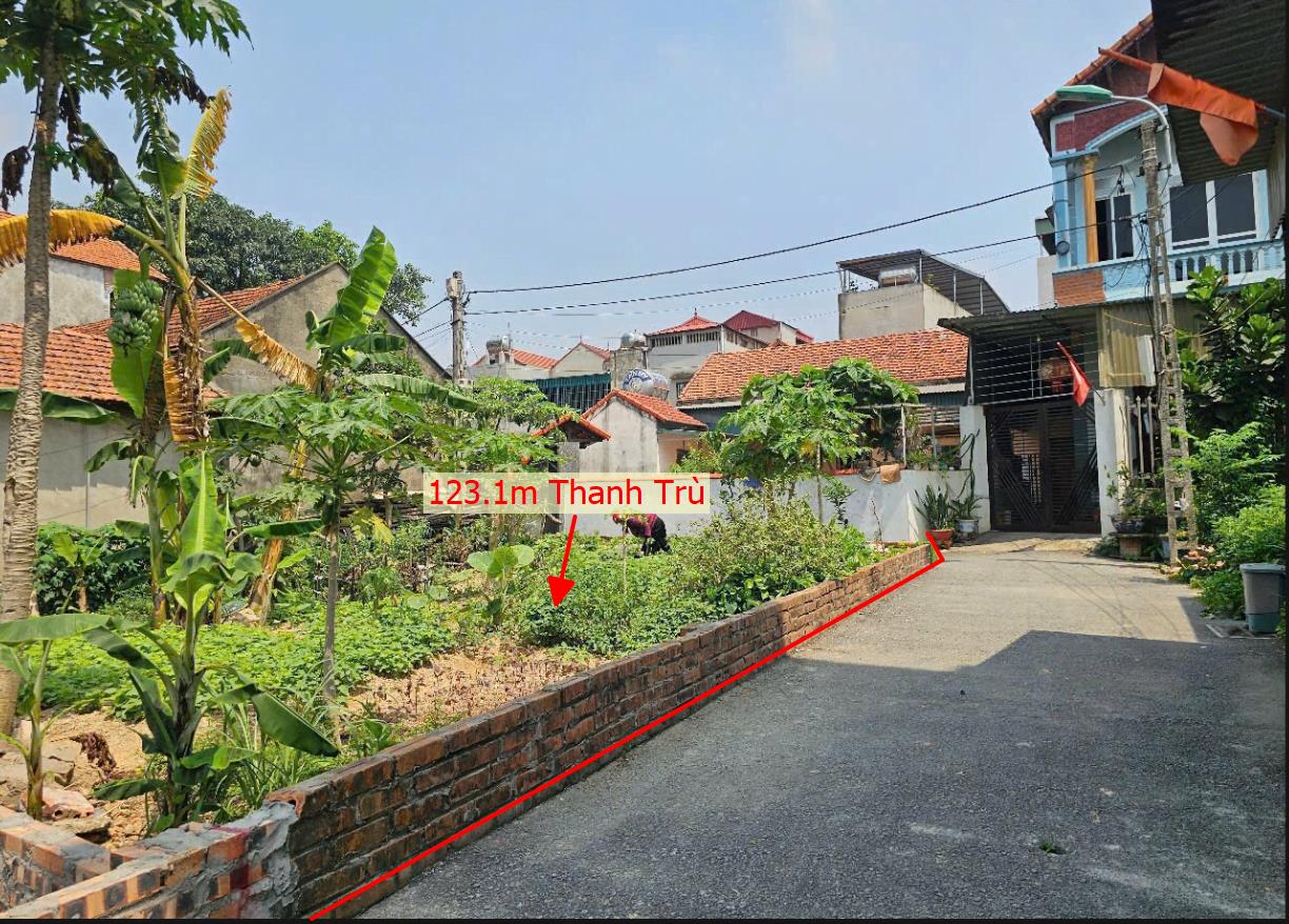 Hình ảnh Bán Lô Đất 123.1m Tại Thanh Trù Vĩnh Yên Bám Đường Bê Tông Ô Tô Vào Tận Đất Dân Cư Đông Đúc Thân Thiện GIá Đầu Tư