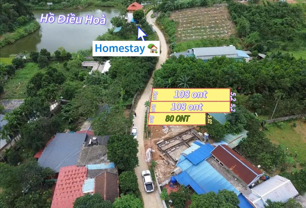 Hình ảnh Bán Lô Đất 108.7m Tại Thanh Cao Lương Sơn Bám Đường Bê Tông Ô Tô Vào Tận Đất Dân Cư Đông Đúc Đầy Đủ Tiện Ích Giá Đầu Tư