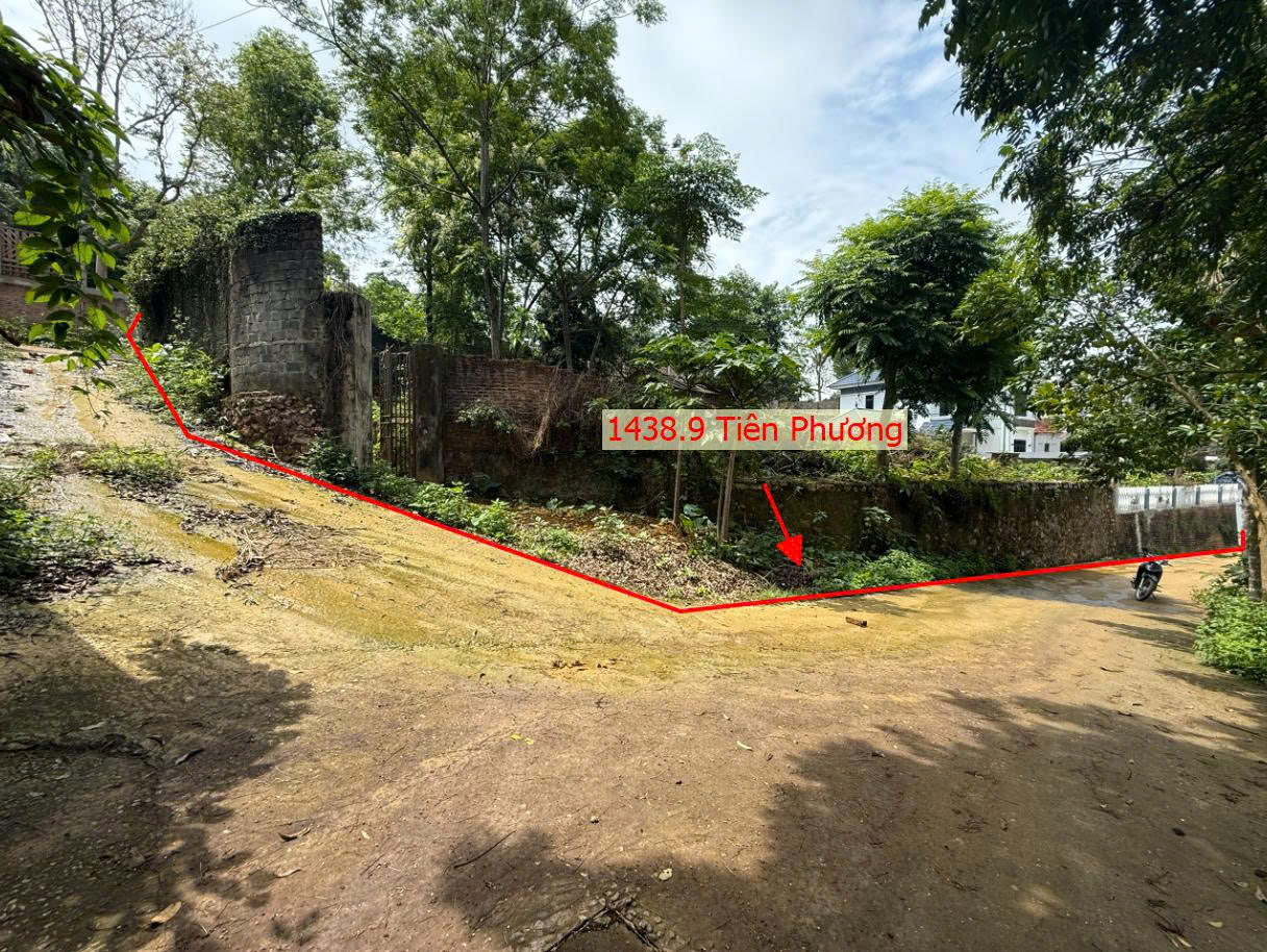 Hình ảnh Bán Thửa Đất 1438.9m Tại Tiên Phương Chương Mỹ Ô Tô Đỗ Tận Đất Gần QL6A Đang Triển Khai Mở Rộng