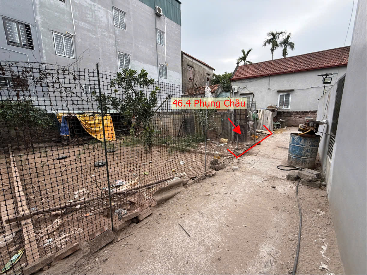 Hình ảnh Đất Phân Lô Phụng Châu Gần Trục Chính Kinh Doanh Liên Huyện Ngay Trung Tâm Xã Phụng Châu