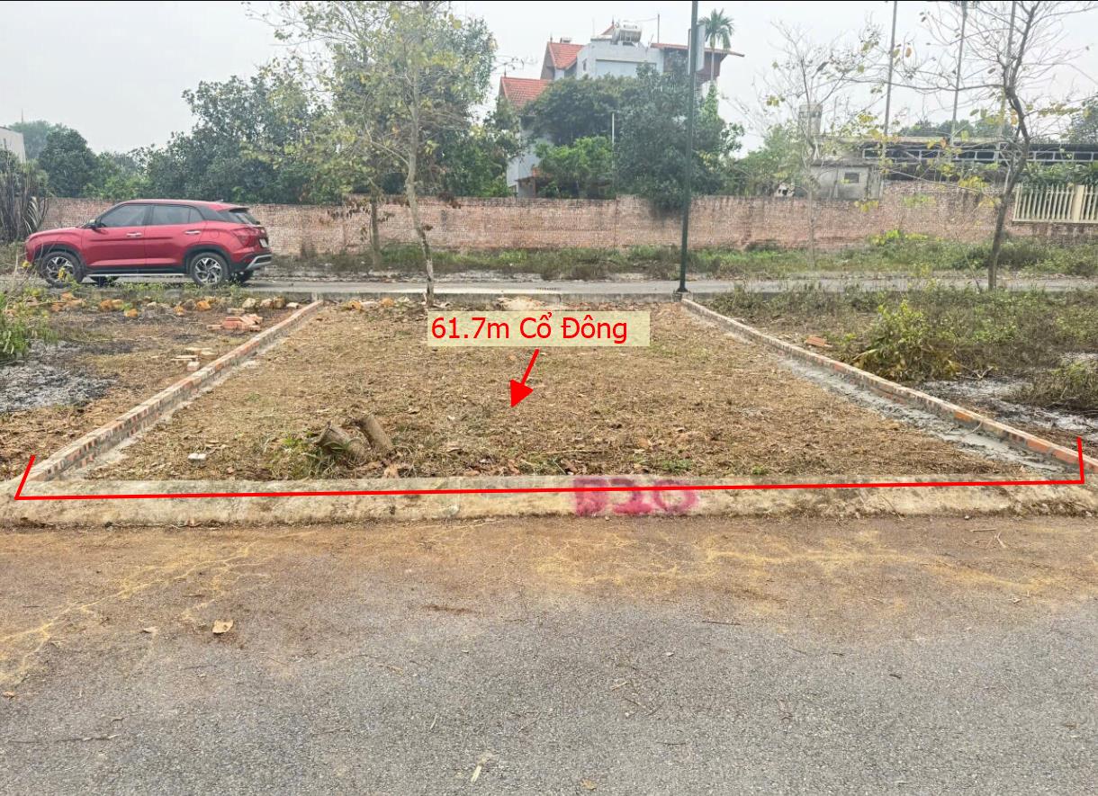 Hình ảnh Bán Lô Đất 61.7m Tại Cổ Đông Sơn Tây Bám Đường Bê Tông Ô Tô Vào Tận Đất Dân Cư Đông Đúc Đầy Đủ Tiện Ích Giá Đầu Tư