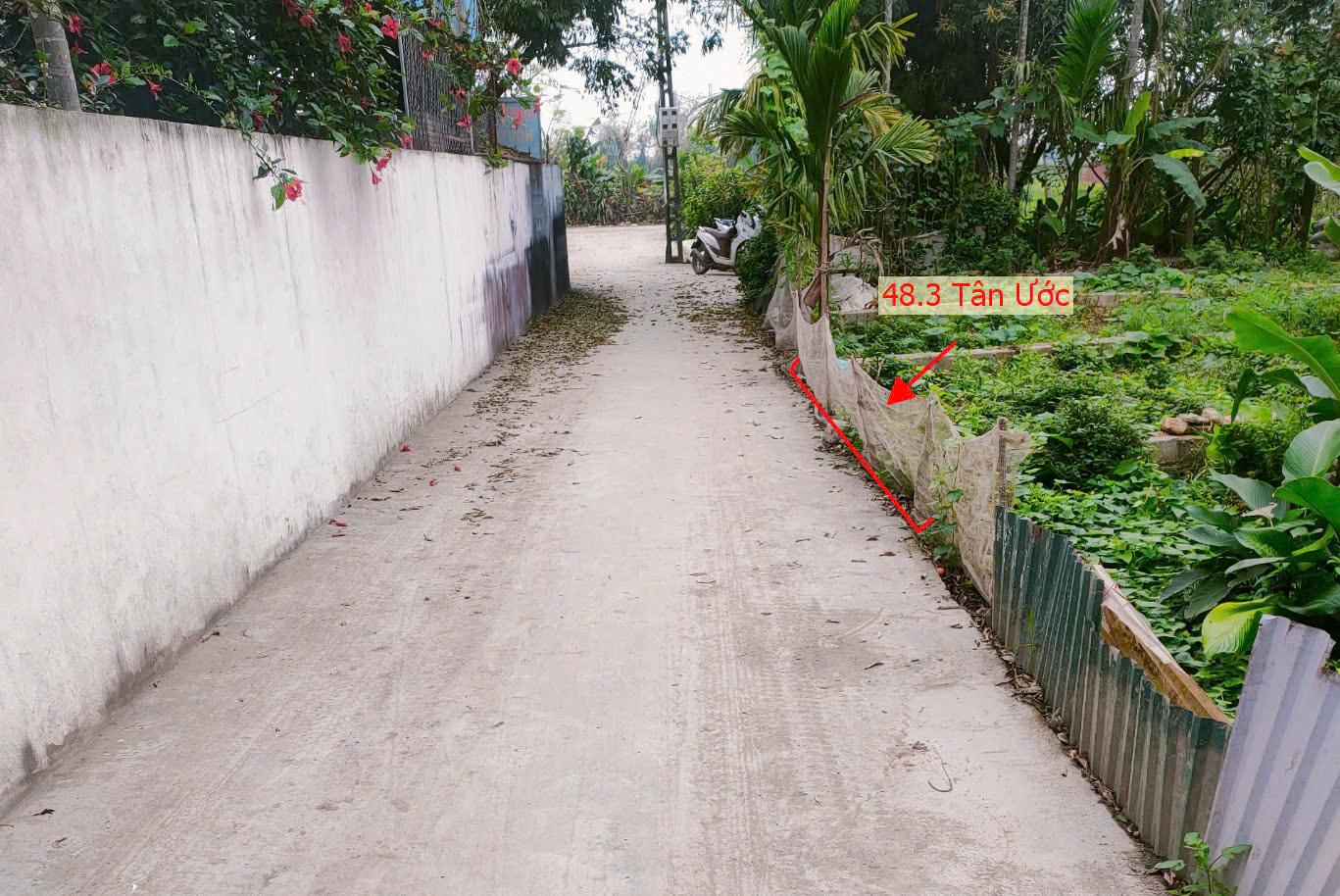 Hình ảnh Bán Thửa Đất 48.3m Tại Tân Ước Thanh Oai Ô Tô Đỗ Tận Đất Sát Trục Kinh Doanh Liên Xã 