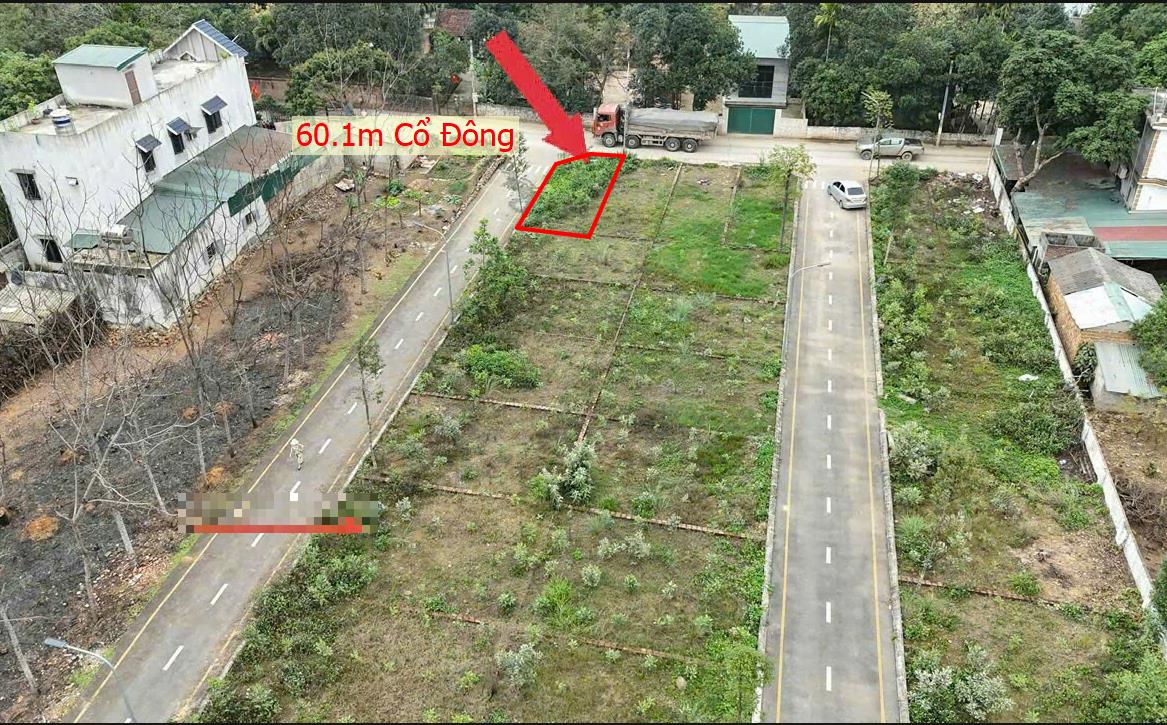Hình ảnh Bán Lô Đất 60.1m Tại Cổ Đông Sơn Tây Bám Đường Bê ông Ô Tô Vào Tậ Đất Dân Cư Đông Đúc Thân Thiện Giá Đầu Tư
