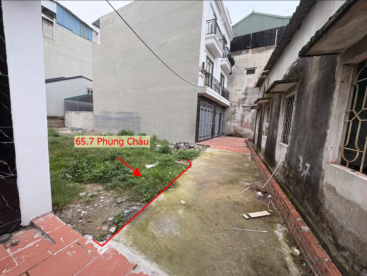 Hình ảnh Bán Đất Phụng Châu Ngay Cạnh Trường Đại Học TDTT Sát Trục Chính Kinh Doanh Liên Huyện