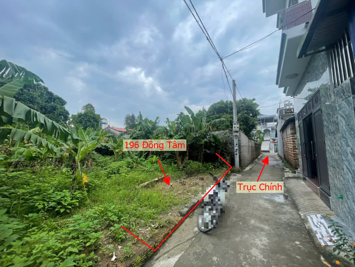 Hình ảnh Bán Đất Đồng Tầm Full Thổ Cư Sát Mặt Đường Kinh Doanh Gần TL429 Giá Chỉ Vài Tỷ 