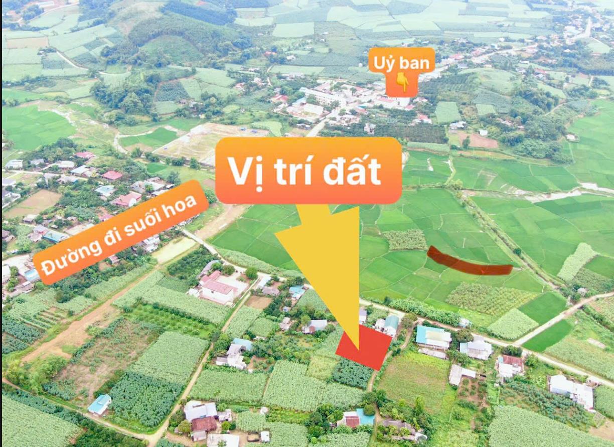 Hình ảnh Bán Lô Đất 447.9m Tại Tân Lạc Bám Đường Liên Xã Kinh Doanh Buôn Bán Gần Nhiều Khu Du Lịch Gần Chợ Trường Học Ủy Ban Giá Đầu Tư