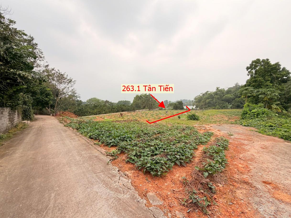 Hình ảnh Bán Đất Phân Lô Tân Tiến Ô Tô Đỗ Tận Đất Ngay Sát Trục Chính Kinh Doanh Liên Xã