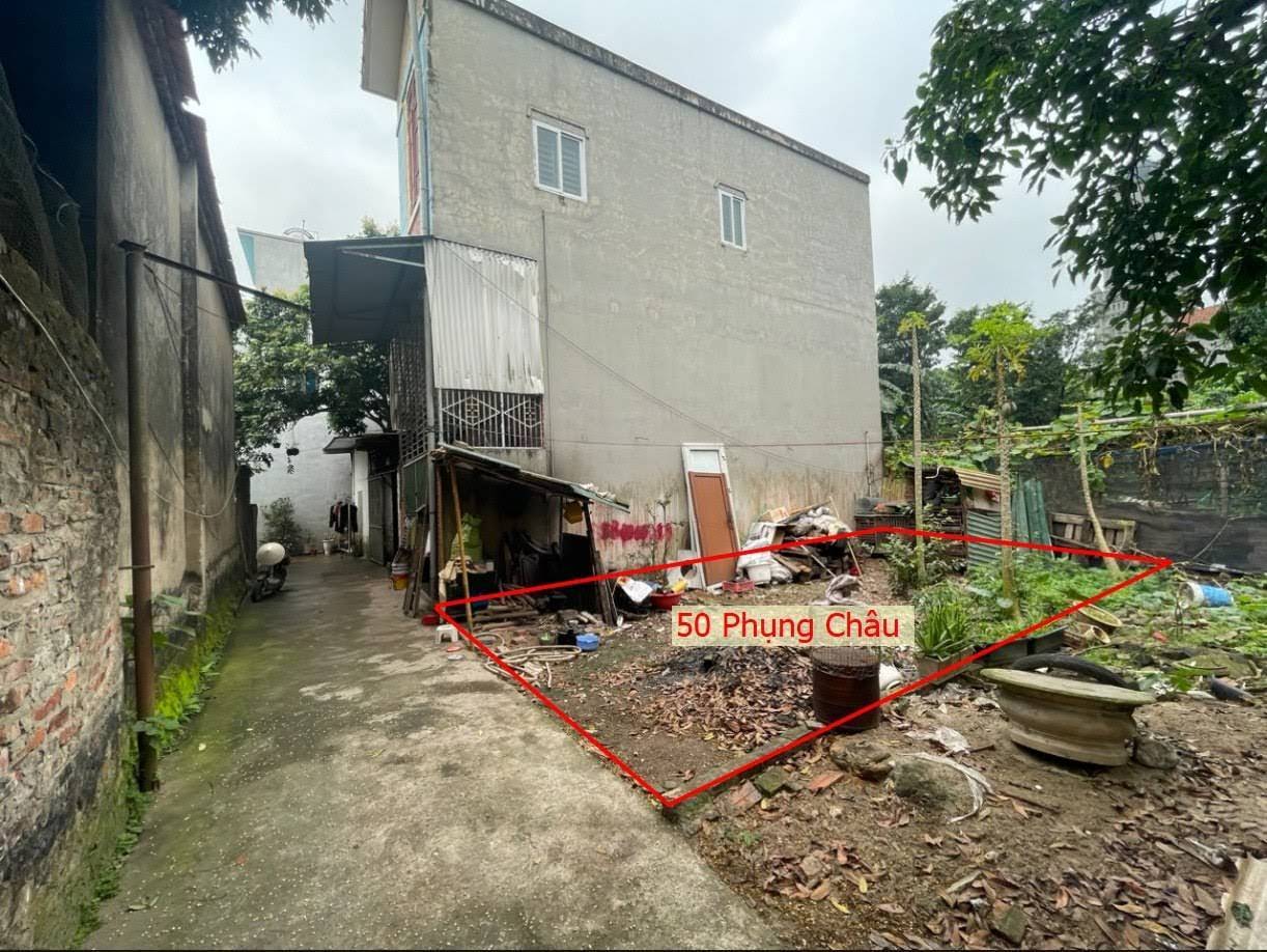 Hình ảnh Bán Đất Phụng Châu Full Thổ Cư 2 Mặt Ngõ Ngay Gần Trung Tâm Xã Phụng Châu 