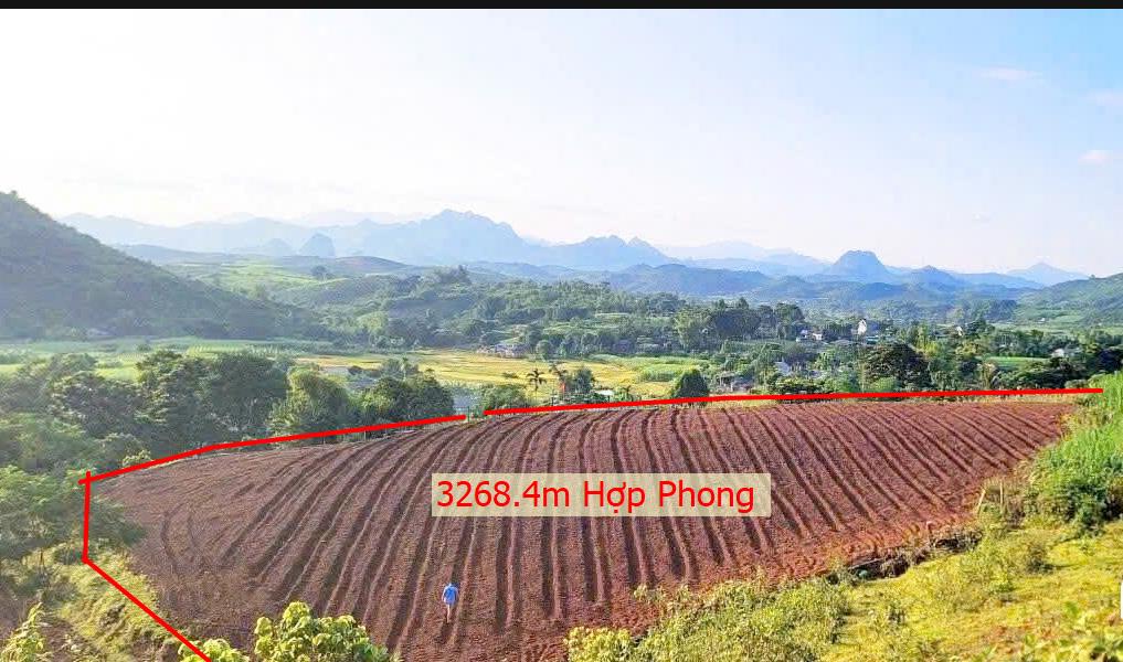 Hình ảnh Bán Lô Đất 2368.4m Tại Cao Phong Bám Đường Bê Tông Ô Tô Vào Tận Đất Phù Hợp Làm Nghỉ Dưỡng  View Siêu Đỉnh Thoáng Mát Giá Đầu Tư