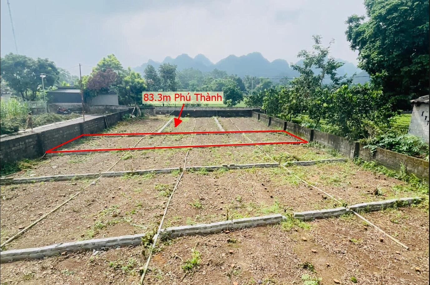 Hình ảnh Bán Lô Đất 83.3m Tại Phú Thành Lạc Thủy Bám Đường Bê Tông Ô Tô Vào Tận Đất Dân Cư Đông Đúc Thân Thiện Cách QL21a 100m Giá Đầu Tư