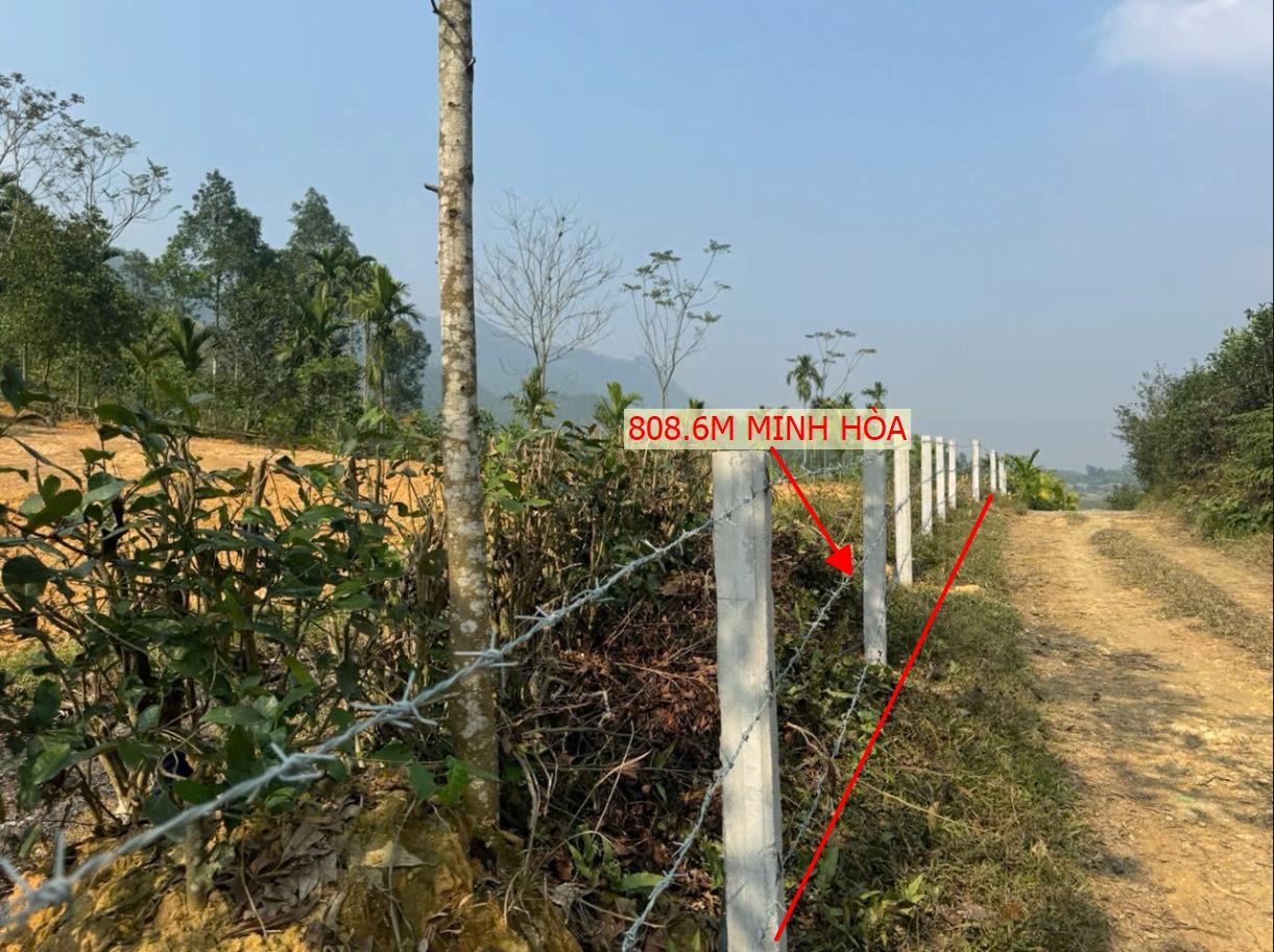Hình ảnh Bán Lô Đất 808.6m Tại Minh Hòa Yên Lập Ô Tô Vào Tận Đất Thế Đất Cao Thoáng Giá Đầu Tư