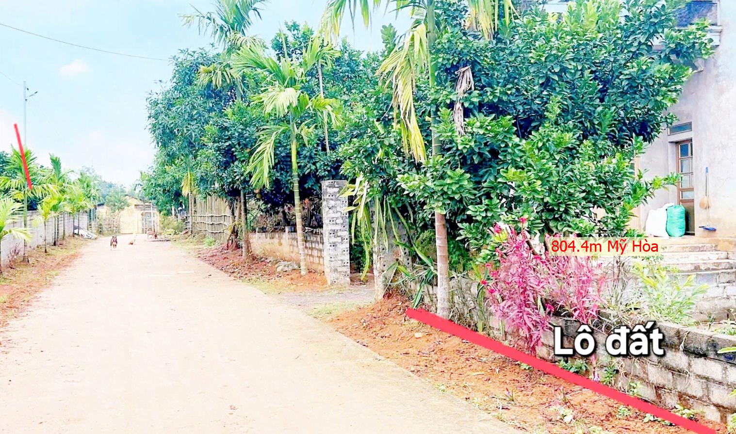 Hình ảnh Bán Lô Đất 804.4m Tại Mỹ Hòa Tân Lạc Bám Đường Bê Tông Ô Tô Vào Tận Đất Dân Cư Đông Đúc Thân Thiện Giá Đầu Tư