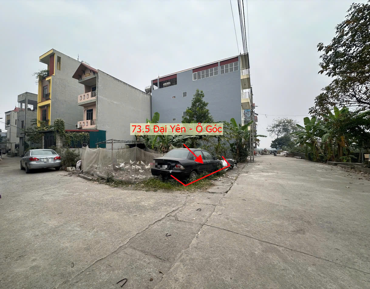 Hình ảnh Đất Đấu Giá Khu Ao Sen Xã Đại Yên Thuộc Làn 2 Đường TL419 Giáp Thị Trấn Chúc Sơn 