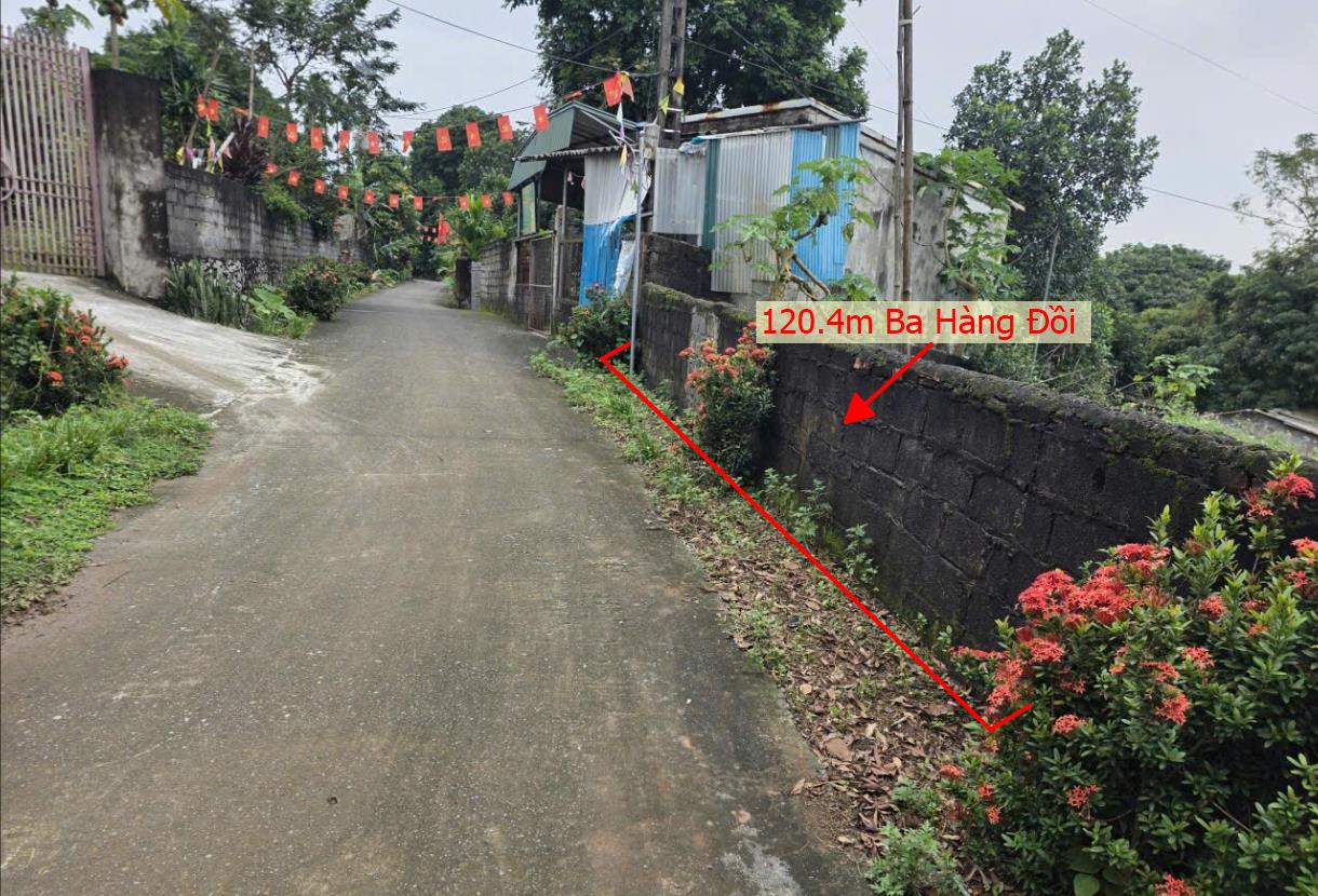 Hình ảnh Bán Lô Đất 120.4m Tại TT Ba Hàng Đồi LẠc Thủy Bám Đường Bê Tông Ô Tô Vào Tận Đất  Dân Cư Đông Đúc Sổ Đỏ Pháp Lý Rõ Ràng Giá Đầu Tư