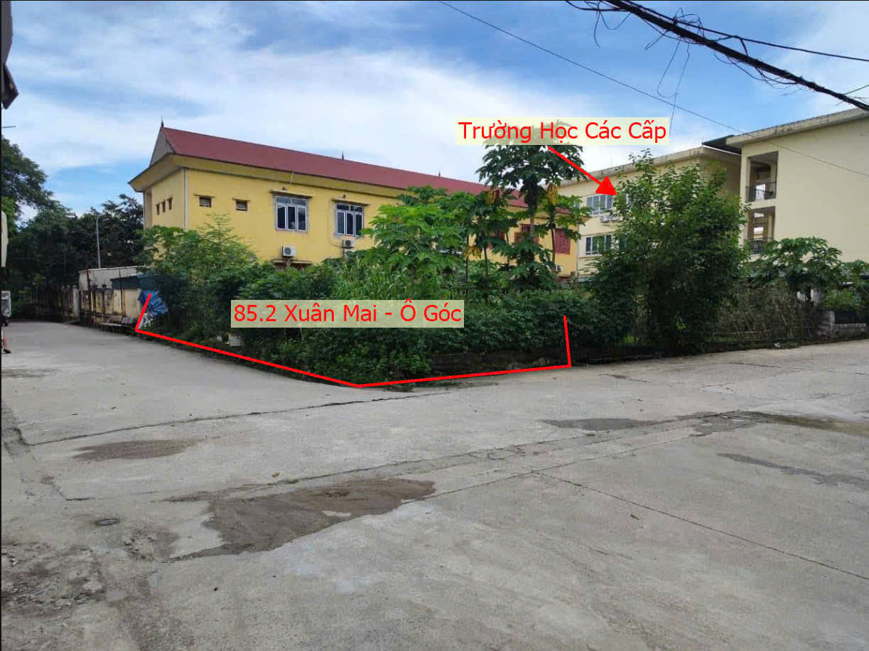 Hình ảnh Bán Lô Góc 2 Mặt Tiền Ô Tô Vào Tận Đất Ngay Sau Trường Học Các Cấp Thị Trấn Xuân Mai 