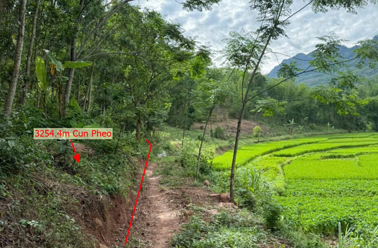 Hình ảnh Bán Lô Đất 3254.4m Tại Cun Pheo Mộc Châu Gần Nhiều Khu Nghỉ Dưỡng  View Cánh Đồng Suối Thoáng Mát  Khu Đất Tiềm Năng  Giá Hợp Lý Cho Nhà Đầu Tư