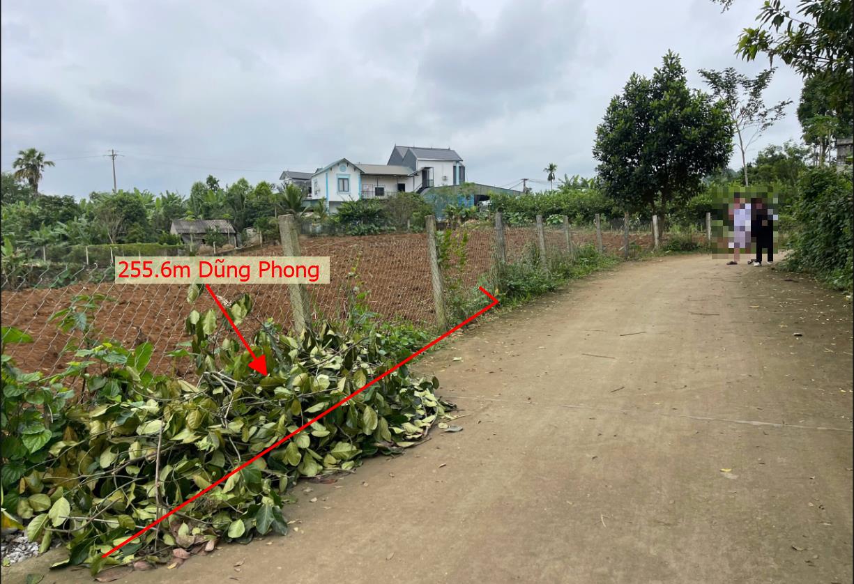 Hình ảnh Bán Lô Đất 255.6 Tại Dũng Phong Cao Phong Bám Đường Bê Tông Ô Tô Vào Tận Đất Dân Cư Đông Đúc Thân Thiện GẦn Chợ Trường Học Ủy Ban Cách Trục Chính Kinh Doanh  Giá Đầu Tư