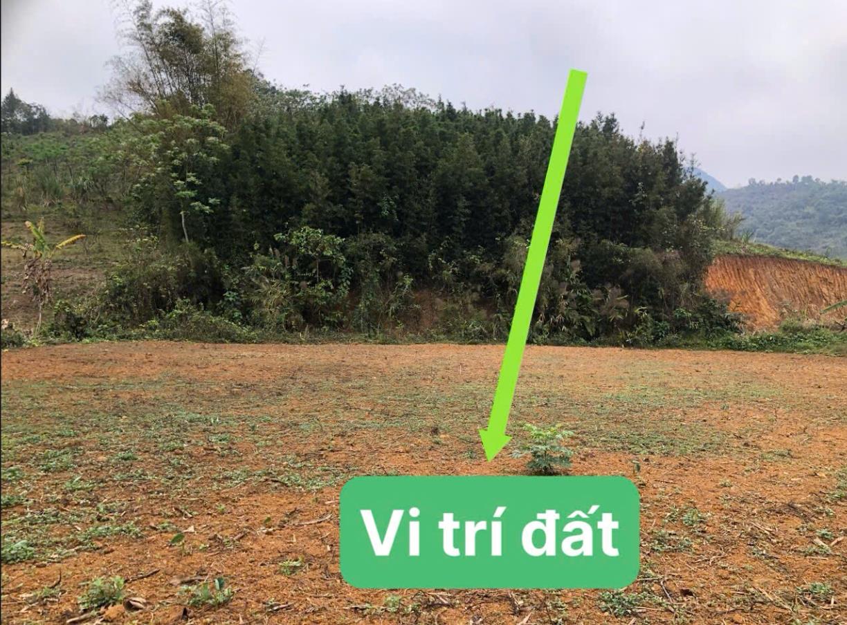 Hình ảnh Bán Lô Đất 2000m Tại Bắc Phong Cao Phong Bám Đường Bê Tông Ô Tô Vào Tận Đất  Thế Đất Đẹp Ranh Giới Rõ Ràng Giá Đầu Tư