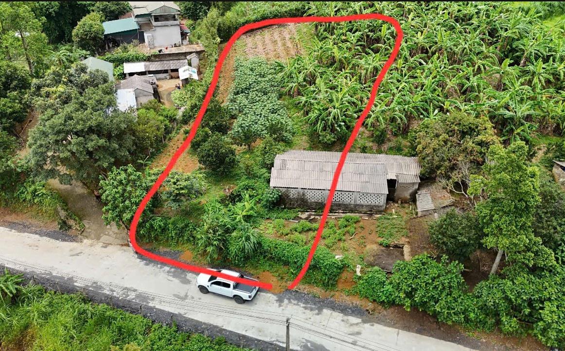 Hình ảnh Bán Lô Đất 2592.9m Tại Thu Phong Cao Phong Bám Đường Bê Tông Ô Tô Vào Tận Đất Dân Cư Đông Đúc Thân Thiện Gần Chợ Trường Học Ủy Ban Giá Đầu Tư