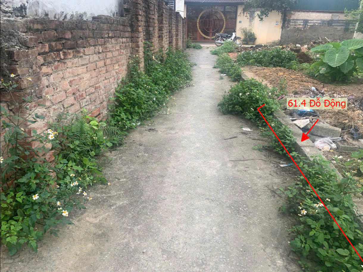 Hình ảnh Bán Đất Đỗ Động Ngay Cạnh Trường Cấp 3 Thanh Oai A Gần Trục Kinh Doanh Liên Xã 