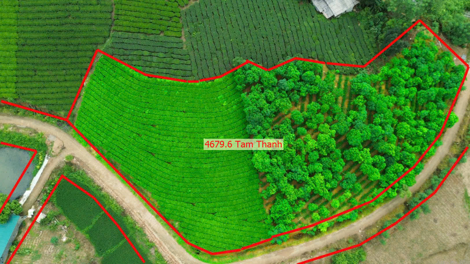 Hình ảnh Bán Đất Tam Thanh Tân Sơn Đường Ô Tô Tránh Giá Chỉ Vài Trăm Triệu 