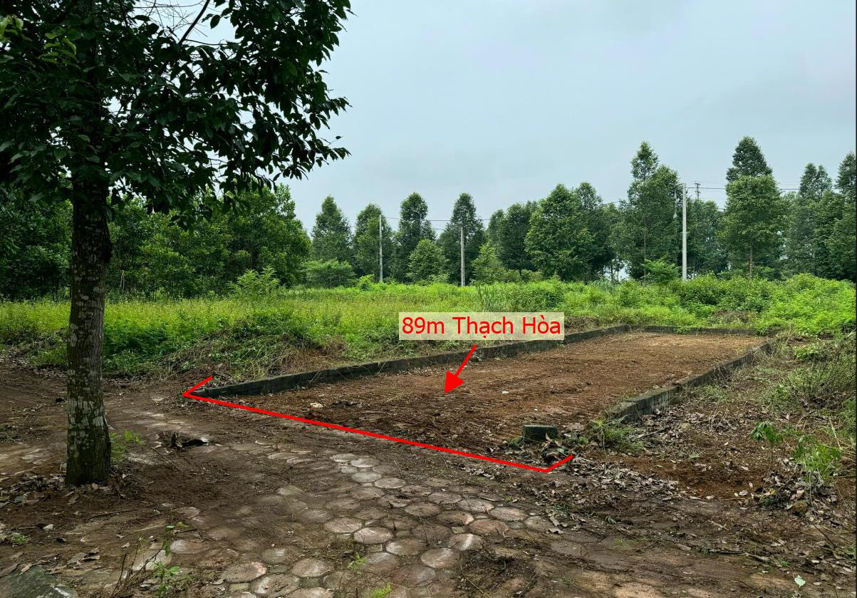 Hình ảnh Bán Lô Đất 89m Tại Thạch Thất Bám Đường Bê Tông Ô Tô Vào Tận Đất Dân Cư Đông Đúc Thân Thiện Giá Đầu Tư
