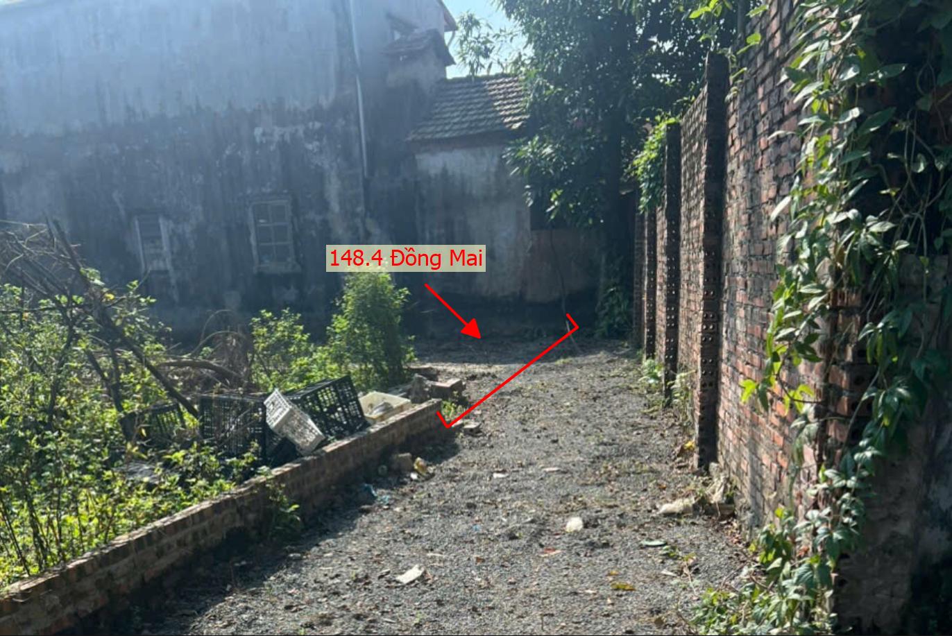 Hình ảnh Bán Thửa Đất 148.4m Tại Đồng Mai Full Thổ Cư Sát Trục Kinh Doanh Ngay Gần Khu Dịch Vụ Sinh Thái Đồng Mai