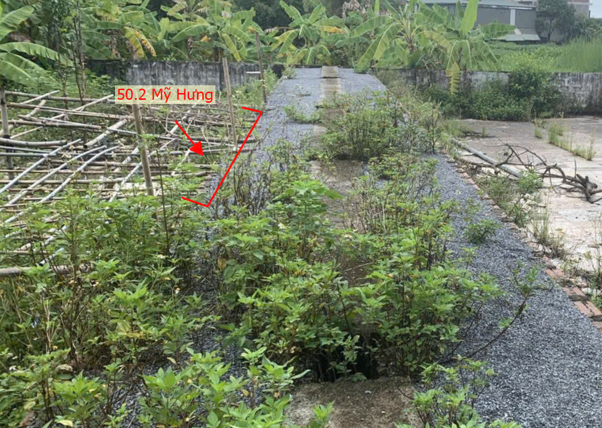 Hình ảnh Bán Đất Mỹ Hưng Ngay Trung Tâm Xã Mỹ Hưng Sát Trục Liên Xã | Đất Phân Lô Mỹ Hưng Thanh Oai 