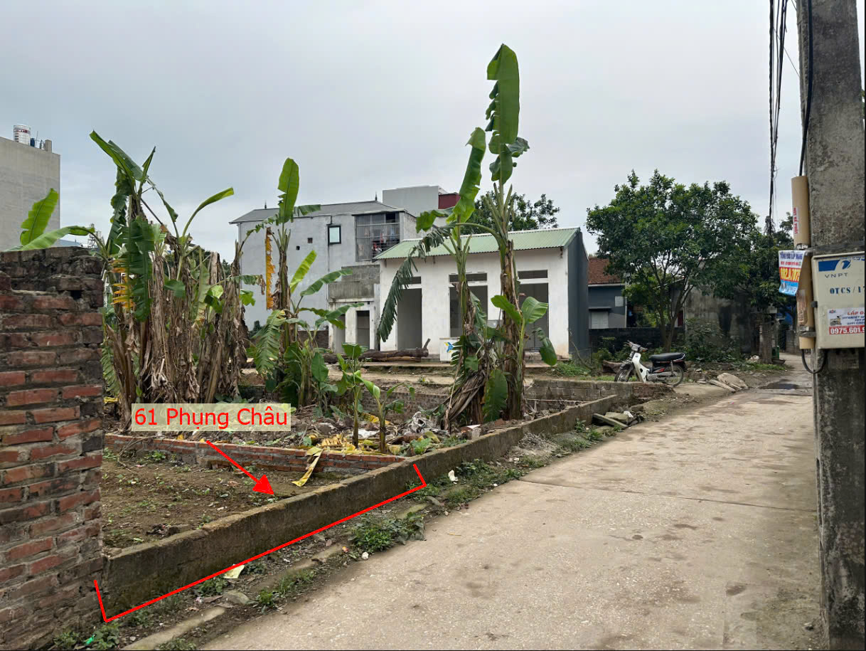 Hình ảnh Bán Đất Full Thổ Cư 61m Tại Phụng Châu Sát Trục Kinh Doanh Liên Huyện Ô Tô Đỗ Tận Đất 