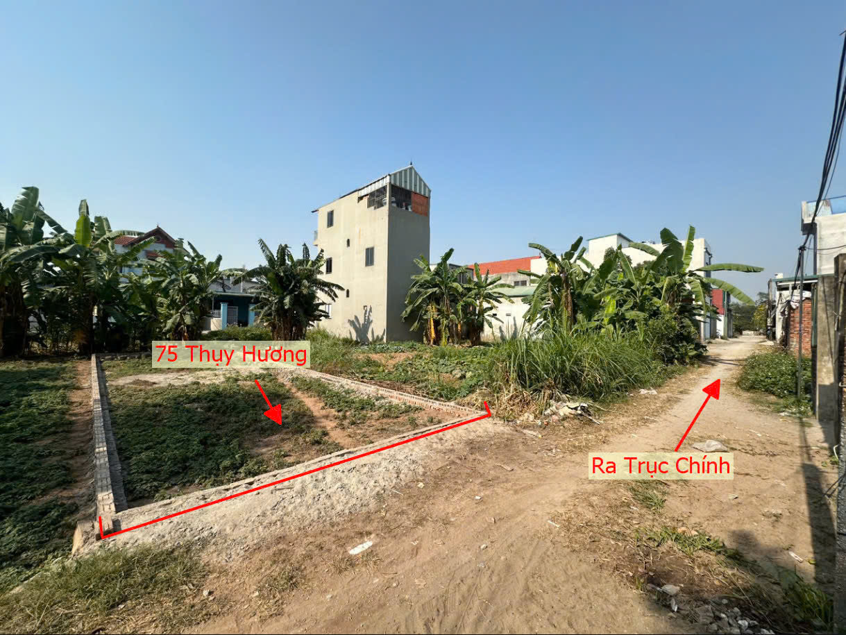 Hình ảnh Bán Đất Thụy Hương Full Thổ Cư Gần Trục Chính Kinh Doanh Ngay Trung Tâm Xã Thụy Hương 