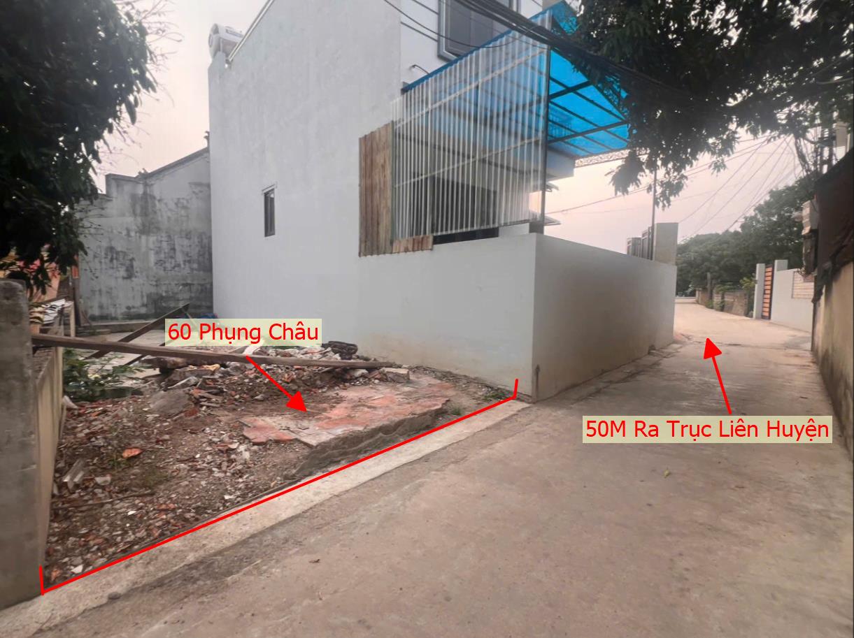 Hình ảnh Bán Đất Full Thổ Cư Sát Mặt Đường Kinh Doanh Liên Huyện Ô Tô Vào Tận Đất Ngay Trung Tâm Xã Phụng Châu 