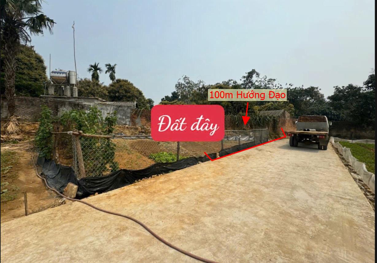 Hình ảnh Bán Lô Đất 100m Tại Hướng Đạo Tam Dương Bám Đường Bê Tông Ô Tô Vào Tận Đất Dân Cư Đông Đúc Thân Thiện Giá Đầu Tư