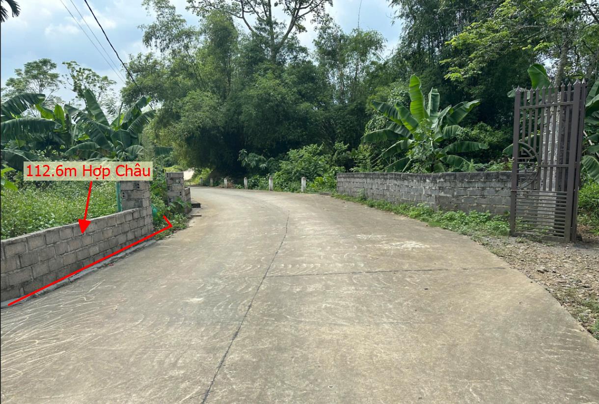 Hình ảnh Bán Lô Đất 112.6m Tại Hợp Châu Lương Sơn Bám Đường Bê Tông Ô Tô Vào Tận Đất Dân Cư Đông Đúc Thân Thiện Gần Chợ Trường Học Ủy Ban Dân Cư Đông Đúc Giá Đầu Tư