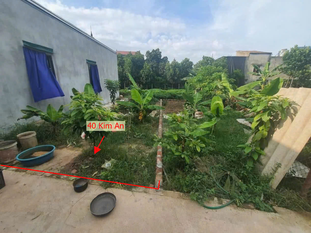 Hình ảnh Bán Đất Kim An Gần Trục Chính Kinh Doanh Liên Xã Ngay Trung Tâm Hành Chính Xã Kim An Giá Nhỉnh Tỷ