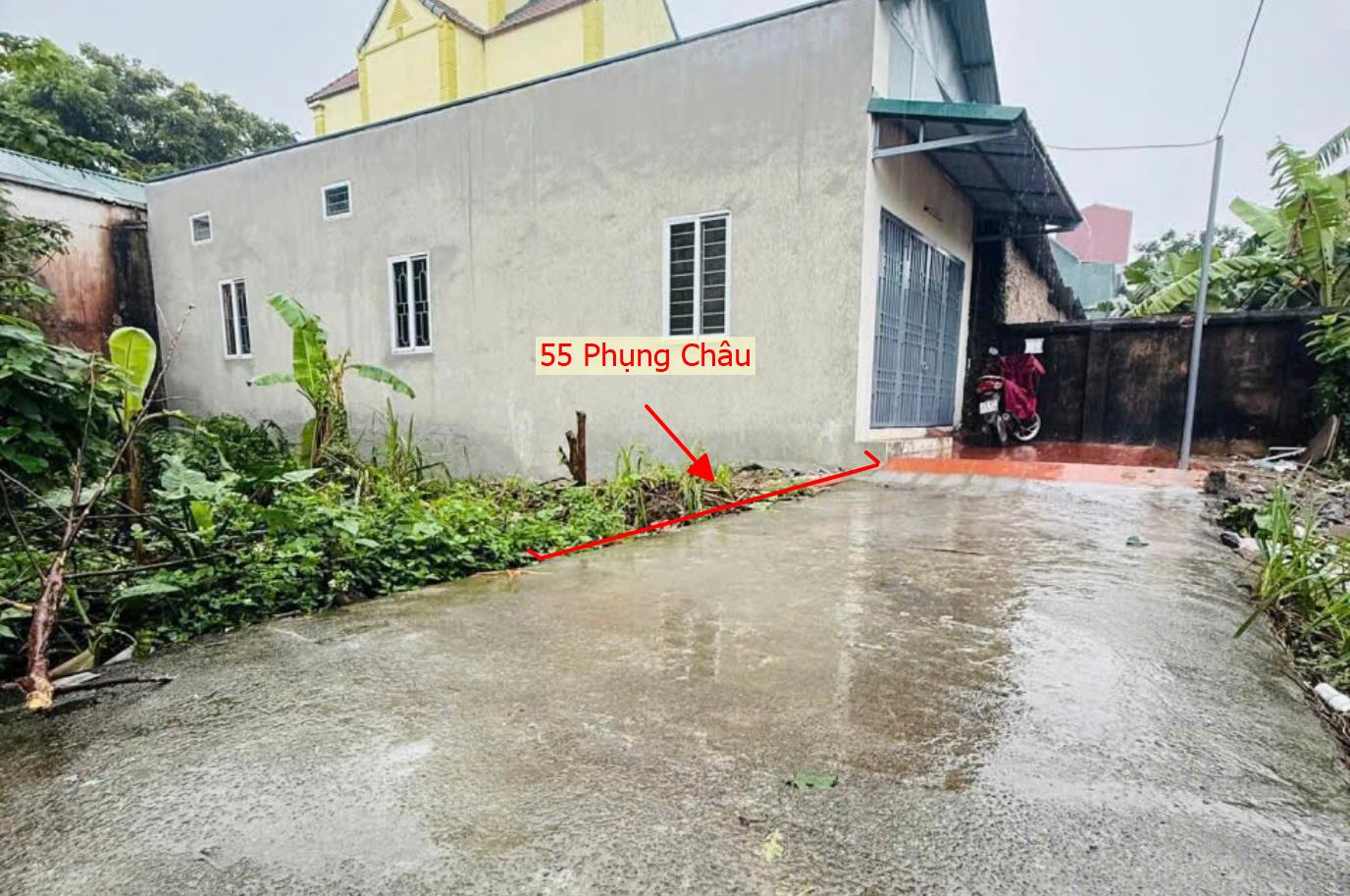 Hình ảnh Bán Đất Full Thổ Cư 55m Tại Phụng Châu Sát Trục Chính Kinh Doanh Liên Xã Giá Chỉ Vài Tỷ