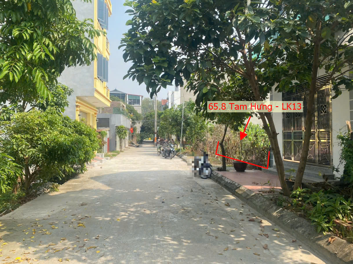 Hình ảnh Bán Đất Đấu Giá Tam Hưng Sát Mặt Đường Kinh Doanh TL427B Ngay Trung Tâm Xã Tam Hưng (LK13)