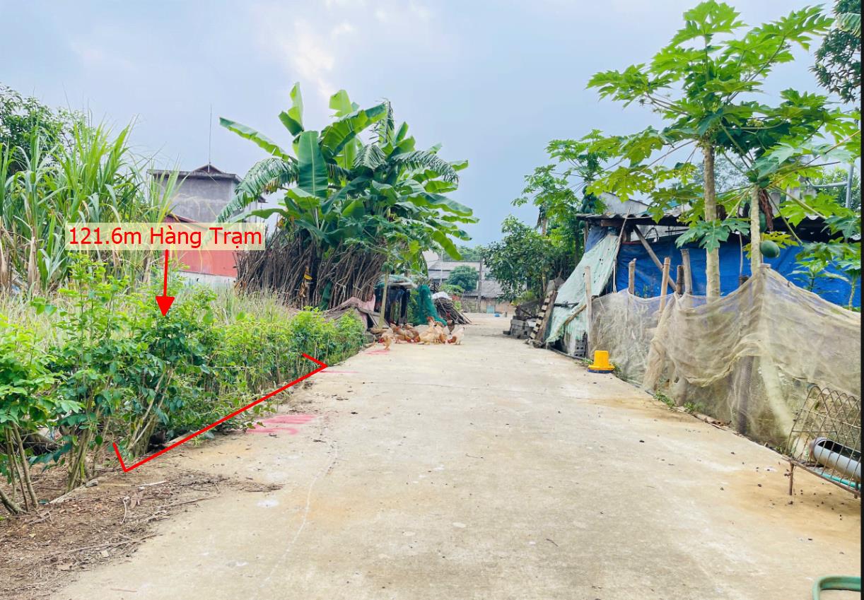 Hình ảnh Bán Lô Đất 121.6m Hàng Trạm Bám Đường Bê Tông Ô Tô  Vao Tận Đất Dân Cư Đông Đúc Thân Thiện Giá Đầu Tư