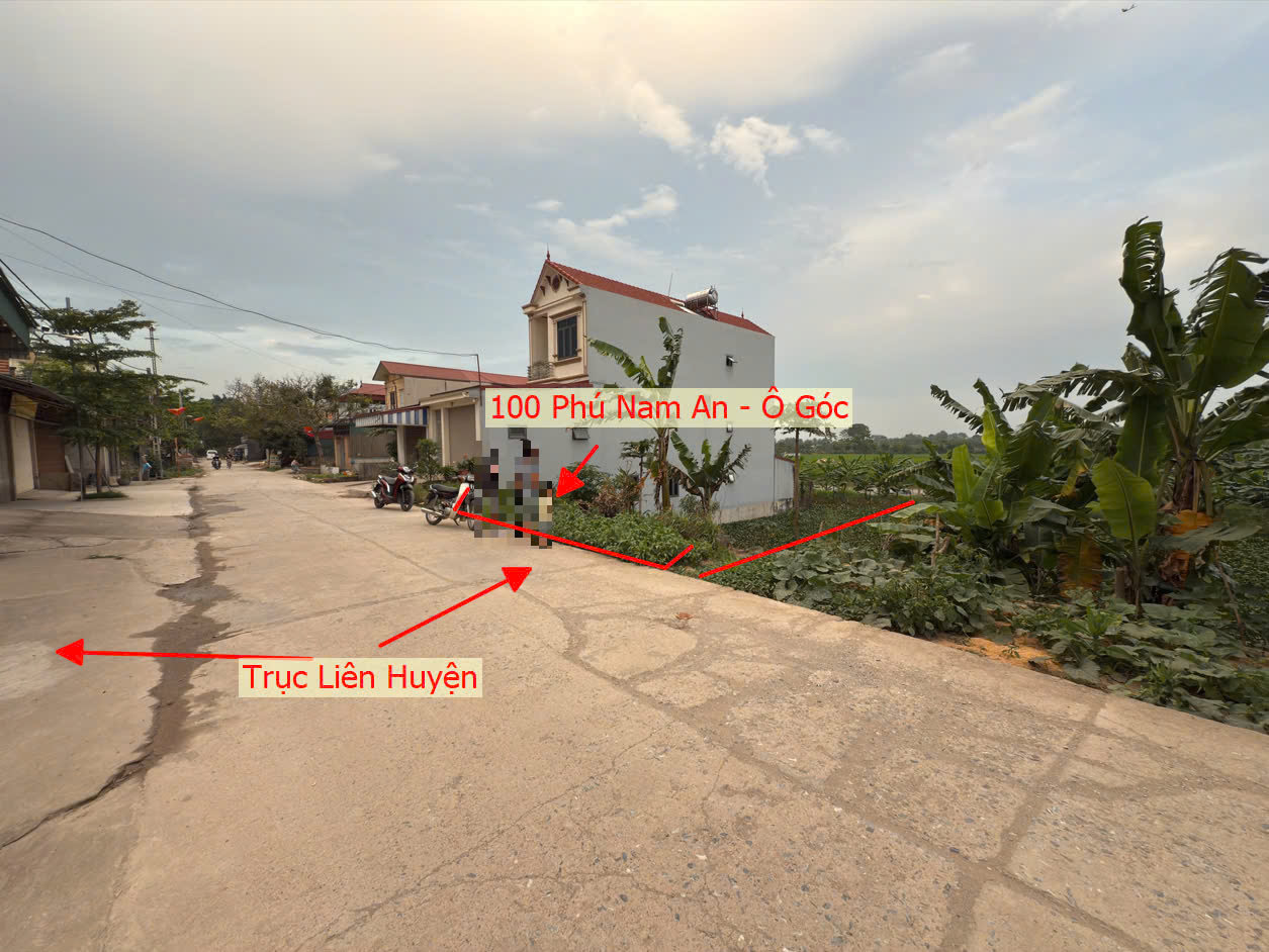 Hình ảnh Bán Đất Full Thổ Cư 100m Ngay Trung Tâm Xã Phú Nam An Mặt Trục Kinh Doanh Liên Huyện