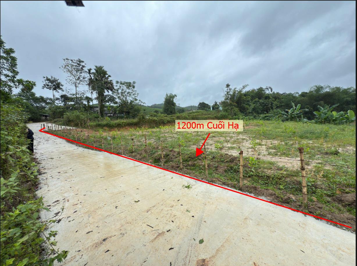 Hình ảnh Bán Lô Đất 1200m Tại Cuối Hạ Kim Bôi Bám Đường Bê Tông Ô Tô Vào Tận Đất Dân Cư Đông Đúc Thân Thiện  Bám Suối View Thoáng Mát Đầu Tư Sinh Lời Giá Đầu Tư