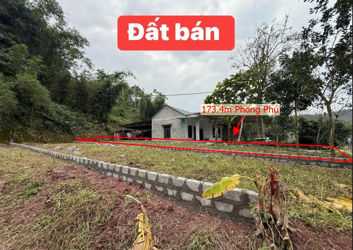 Hình ảnh Bán Lô Đất 173.4m Tại Tân Lạc Bám Đường Bê Tông Ô  Tô VÀo Tận Đất Dân Cư Đông View Thoáng Mát  Gần Nhiều Khu Nghỉ Dưỡng Cách Ql6 Chỉ 00m Giá Đầu Tư