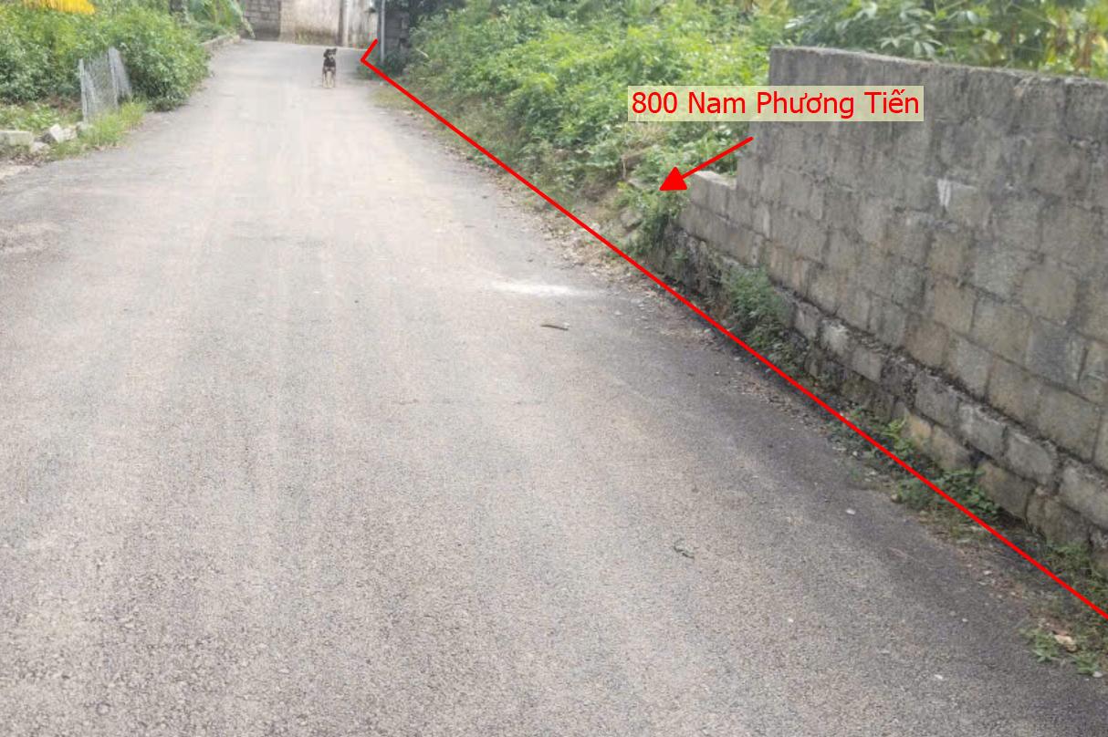 Hình ảnh Bán Thửa Đất 800m Tại Nam Phương Tiến Ô Tô Đỗ Tận Đất Sát Trục Kinh Doanh Ngay Gần Hồ Miễu 