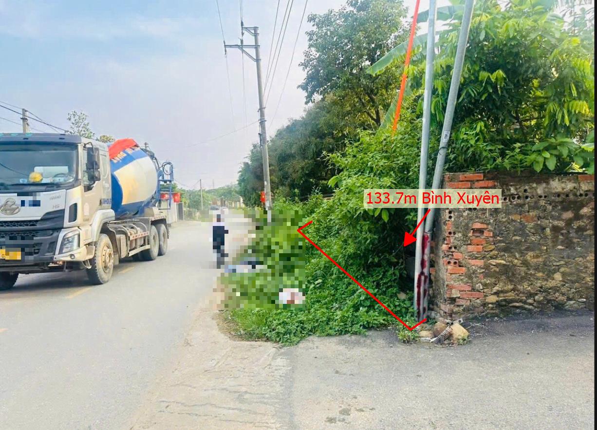 Hình ảnh Bán Lô Đất 133.7m Tại Trung Mỹ Bình Xuyên Bám Đường Bê Tông Ô Tô Vào Tận Đất Dân Cư Đông Đúc Thân Thiện Gần TRường Học Ủy Ban Giá Đầu Tư