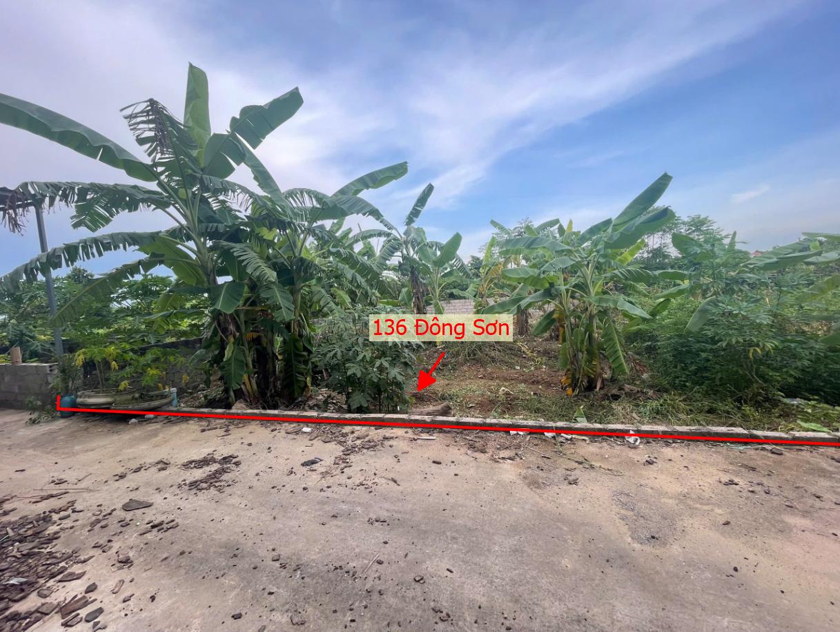 Hình ảnh Bán Đất Full Thổ Cư 136m Tại Đông Sơn Ô Tô Vào Tận Đất Sát Trục Chính Kinh Doanh Liên Huyện 