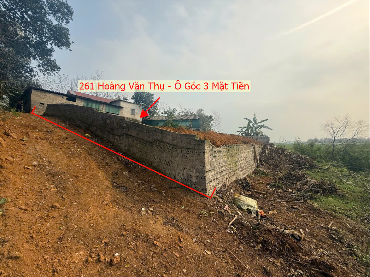 Hình ảnh Bán Lô Góc 3 Mặt Tiền 261m Tại Hoàng Văn Thụ Gần Trục Kinh Doanh Liên Xã Giá Chỉ Hơn Tỷ 
